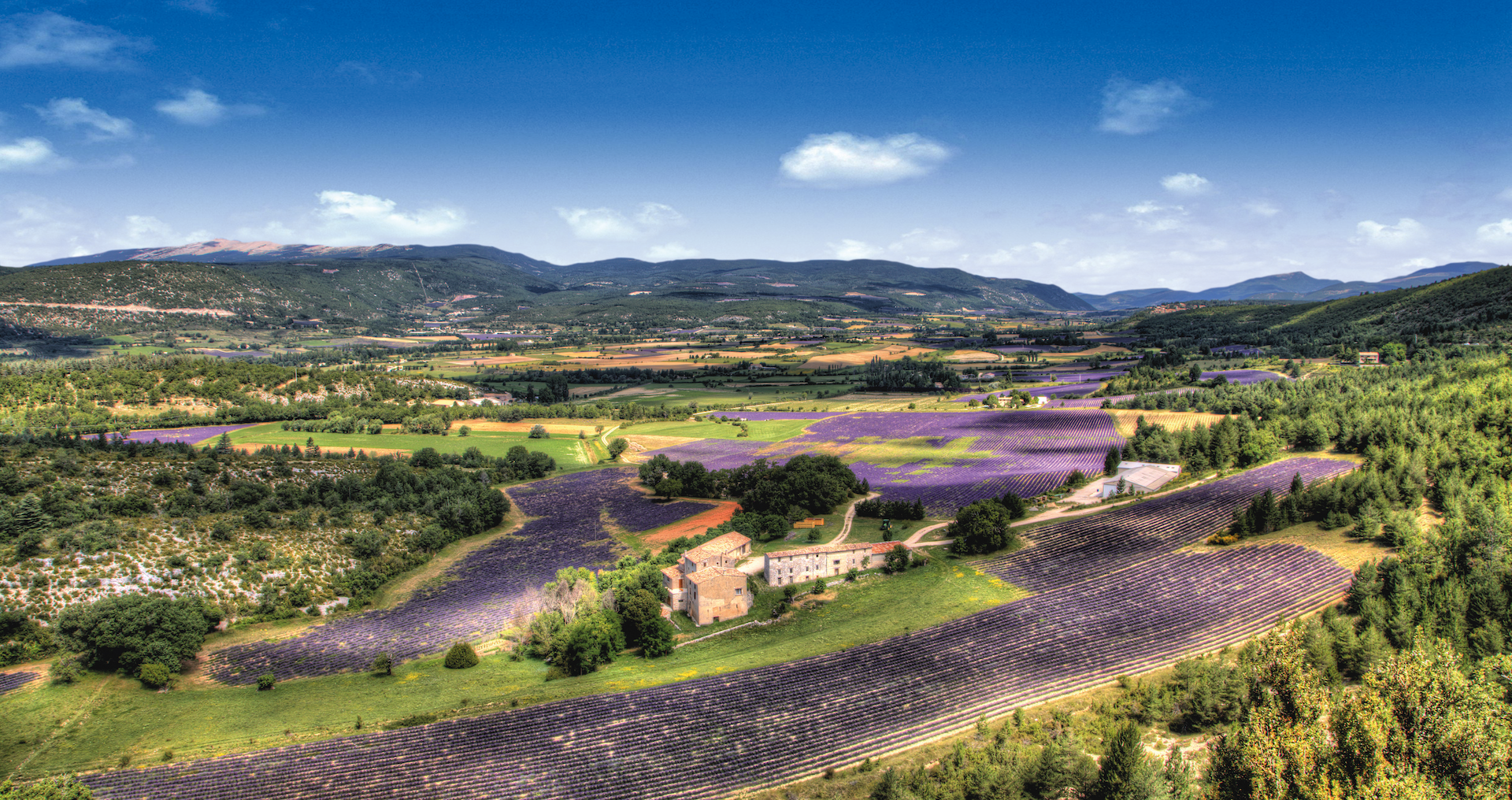 Vivre dans le Luberon - Terre Aquila