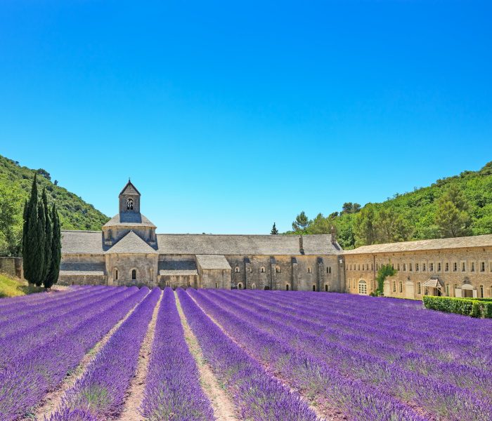 Vivre dans le Luberon - Terre Aquila