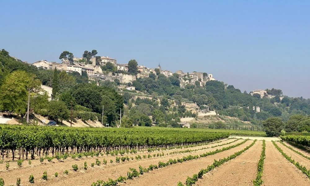 Menerbes vue des vignes