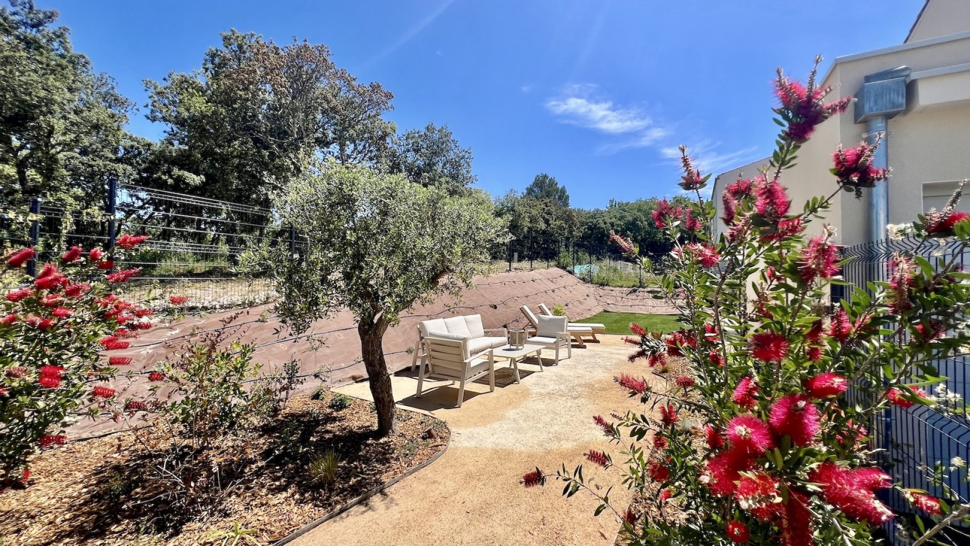 villa-laura-T4-a-louer-menerbes-luberon-jardin