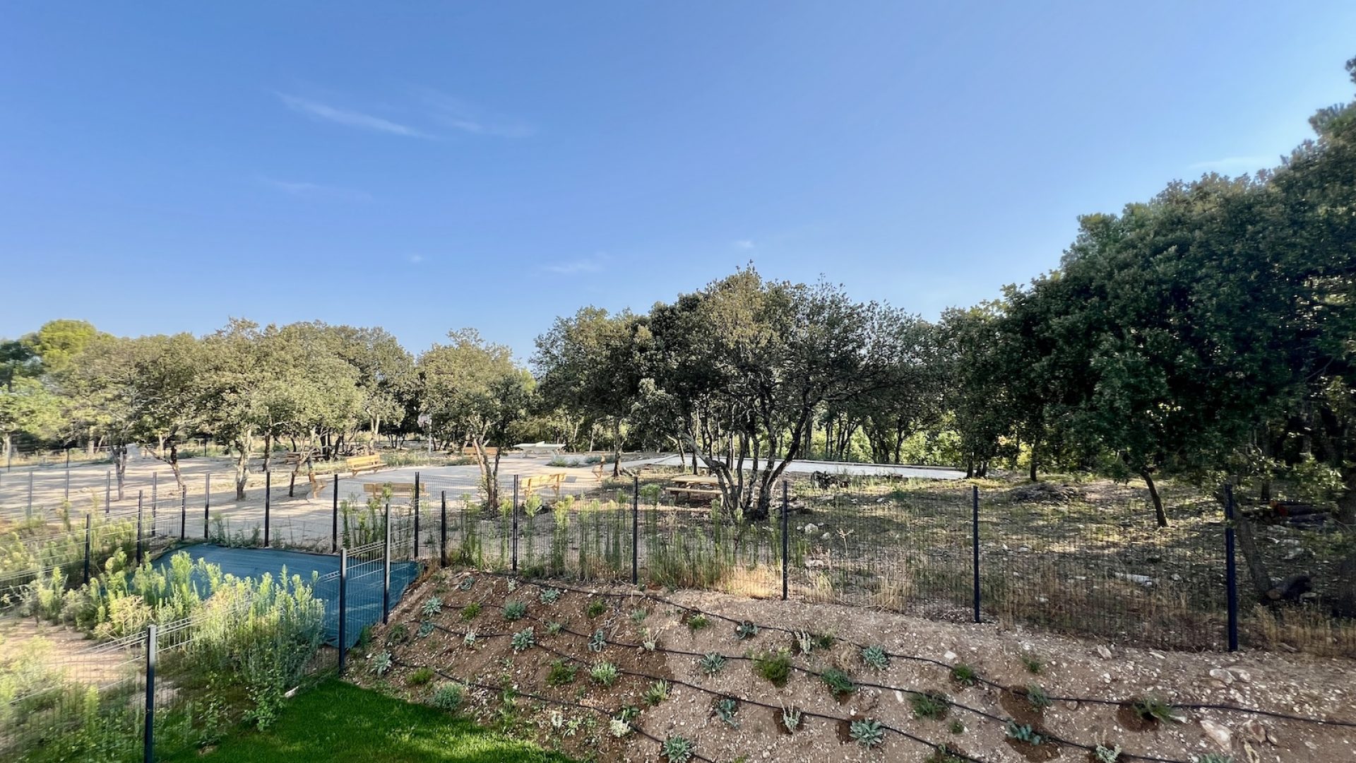 villa-luna-T4-a-louer-menerbes-luberon-vue-parc